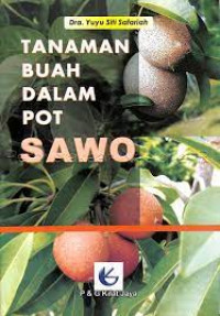 Image of Tanaman Sawo Dalam Pot